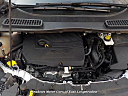 Thumbnail image of 2017 Ford Escape at Meadows Motor Cars of East Longmeadow