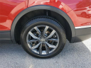 Thumbnail image of 2023 Volkswagen Tiguan at Doral Lincoln