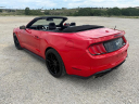 Thumbnail image of 2018 Ford Mustang at ROMAN MOTOR COMPANY