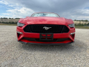 Thumbnail image of 2018 Ford Mustang at ROMAN MOTOR COMPANY