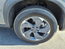 Thumbnail image of 2024 Nissan Rogue at Dieffenbach Gm Superstore