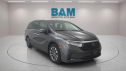 2023 Honda Odyssey EX-L at Bridgeton Auto Mall