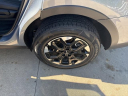 Thumbnail image of 2024 Kia Sorento at Marshall Motor Co