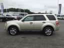Thumbnail image of 2010 Ford Escape at Duncan Ford Chrysler