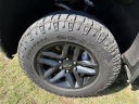 Thumbnail image of 2022 Chevrolet Silverado 1500 Limited at BarberDysonFord (New)
