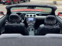 Thumbnail image of 2022 Ford Mustang at Classic Nissan - Newport News