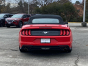 Thumbnail image of 2022 Ford Mustang at Classic Nissan - Newport News