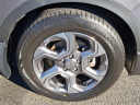 Thumbnail image of 2019 Honda CR-V at Honda of Bridgewater