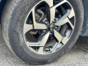 Thumbnail image of 2022 Kia Sportage at Spitzer Kia