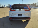Thumbnail image of 2019 Honda CR-V at Serra Buick Gmc Champaign