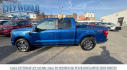 Thumbnail image of 2023 Ford F-150 at City World Ford