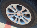 Thumbnail image of 2024 Chevrolet Silverado 1500 at Ken Stoepel Ford