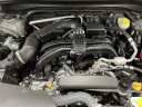Thumbnail image of 2025 Subaru Forester at Stuckey Buick GMC - New
