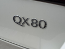 Thumbnail image of 2023 INFINITI QX80 at Circle Infiniti