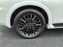 Thumbnail image of 2023 INFINITI QX80 at Circle Infiniti