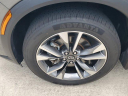 Thumbnail image of 2023 INFINITI QX60 at AcuraOfPembrokePines of Pembroke Pines, FL