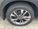 Thumbnail image of 2023 INFINITI QX60 at AcuraOfPembrokePines of Pembroke Pines, FL