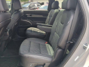 2024 Kia Telluride SX-Prestige X-Pro at Jenkins Kia NEW