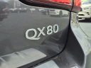 Thumbnail image of 2022 INFINITI QX80 at Circle Infiniti