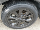 Thumbnail image of 2022 Subaru Forester at Grand Blanc Nissan