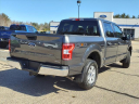 Thumbnail image of 2020 Ford F-150 at Mcfarland Ford Rochester