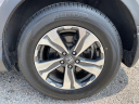 Thumbnail image of 2019 Honda CR-V at Moore Automotive Group Cheraw