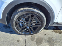 Thumbnail image of 2023 Kia Telluride at Lou Fusz Kia Of Terra Haute