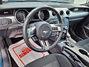 Thumbnail image of 2019 Ford Mustang at Five Star Florence LLC
