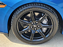 Thumbnail image of 2019 Ford Mustang at Five Star Florence LLC