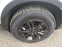 Thumbnail image of 2020 Chevrolet Blazer at Galeana's Van Dyke Dodge, Inc