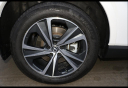 Thumbnail image of 2023 Lexus RX 350 at Bob Allen Ford