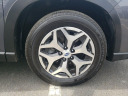 Thumbnail image of 2022 Subaru Forester at Hamilton Honda