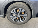 Thumbnail image of 2022 Subaru Outback at Empire Subaru of Huntington