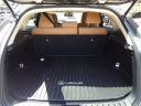 Thumbnail image of 2015 Lexus NX 200t at Forrester Lincoln Mercury