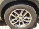Thumbnail image of 2015 Lexus NX 200t at Forrester Lincoln Mercury