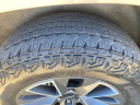 Thumbnail image of 2023 Chevrolet Tahoe at Tishomingo Chevrolet