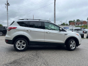 Thumbnail image of 2016 Ford Escape at Lou Fusz Buick Gmc