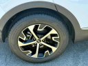 Thumbnail image of 2023 Kia Sportage at Koeppel Nissan