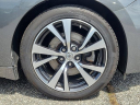 Thumbnail image of 2017 Nissan Maxima at Woodbury Nissan Inc