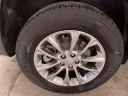 Thumbnail image of 2021 Jeep Cherokee at Tom Dinsdale Chrysler Dodge Jeep Ram