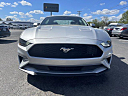 Thumbnail image of 2019 Ford Mustang at EurobahnBmwMiniMercedesBenz of Greensboro, NC