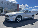 Thumbnail image of 2019 Ford Mustang at EurobahnBmwMiniMercedesBenz of Greensboro, NC