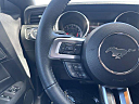 2019 Ford Mustang EcoBoost at EurobahnBmwMiniMercedesBenz of Greensboro, NC