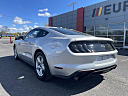 Thumbnail image of 2019 Ford Mustang at EurobahnBmwMiniMercedesBenz of Greensboro, NC
