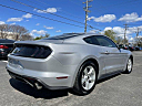 Thumbnail image of 2019 Ford Mustang at EurobahnBmwMiniMercedesBenz of Greensboro, NC