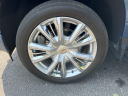 Thumbnail image of 2024 Chevrolet Silverado 1500 at LaFontaine Chevrolet Buick GMC of St. Clair