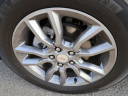 Thumbnail image of 2024 GMC Terrain at Twin City Buick GMC
