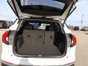 Thumbnail image of 2024 GMC Terrain at Twin City Buick GMC