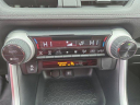 Thumbnail image of 2019 Toyota RAV4 at Peruzzi Toyota(New)