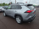Thumbnail image of 2019 Toyota RAV4 at Peruzzi Toyota(New)